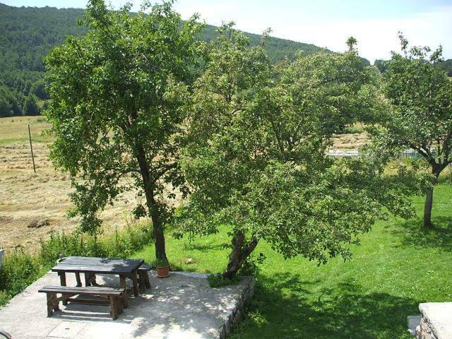 Apartment Ema Stolac Extérieur photo